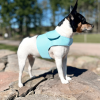 DCNY Harness Vest