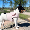 DCNY Harness Vest