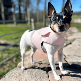 DCNY Harness Vest (Color: Blush Pink, size: Xxs)