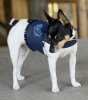 DCNY Harness Vest