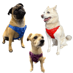 Step In Dog Harness (Color: Ube)