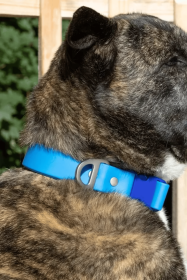 Dockside Adventures Waterproof Dog Collar (size: 11 - 13 Inch)