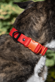 Scarlet Peaks Waterproof Dog Collar (size: 20 - 26 Inch)