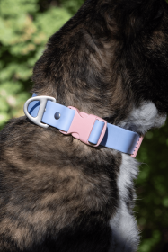 Blue Sky Orchid Waterproof Dog Collar (size: 15 - 17 Inch)