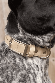 Champagne Fizz Vegan Leather Dog Collar (size: 13 - 15 Inch)