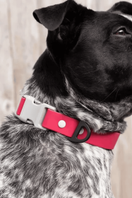 Red Mountain Syrah Waterproof Dog Collar (size: 21 - 28 Inch)
