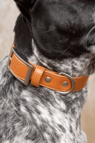 Sierra Sunrise Vegan Leather Dog Collar (size: 13 - 15 Inch)
