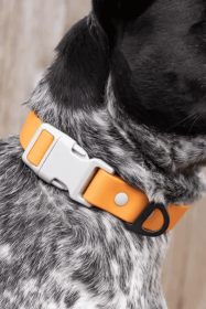Crimson Glow Waterproof Dog Collar (size: 17 - 19 Inch)