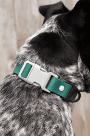 Siberian Spruce Waterproof Dog Collar (size: 15 - 17 Inch)