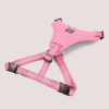 NANDOG Neoprene Sport Dog Harness