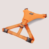 NANDOG Neoprene Sport Dog Harness