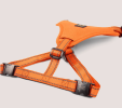 NANDOG Neoprene Sport Dog Harness