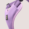 NANDOG Neoprene Sport Dog Harness