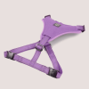 NANDOG Neoprene Sport Dog Harness