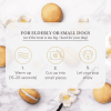 Dog Macarons - Box of 6 (Available in 12 Flavors)