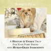 Dog Macarons - Box of 6 (Available in 12 Flavors)
