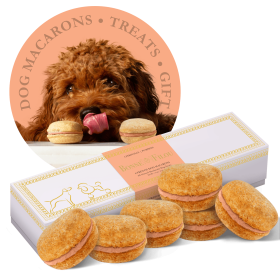Dog Macarons - Box of 6 (Available in 12 Flavors) (Option: Pumpkin)