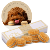 Dog Macarons - Box of 6 (Available in 12 Flavors)