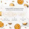 Dog Macarons - Box of 6 (Available in 12 Flavors)
