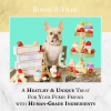 Dog Macarons - Box of 6 (Available in 12 Flavors)