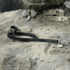 Boss Regular Leash