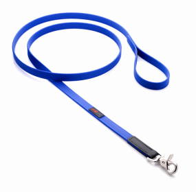 Boss Regular Leash (Color: Blue, size: 3/4" X 6')