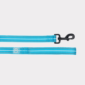 GF Pet  Reflective Leash (Color: Neon Blue, size: Xs/Small)