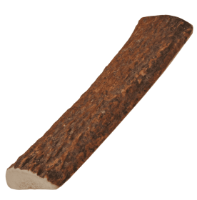 Natural Elk Antlers (Option: Whole, size: small)